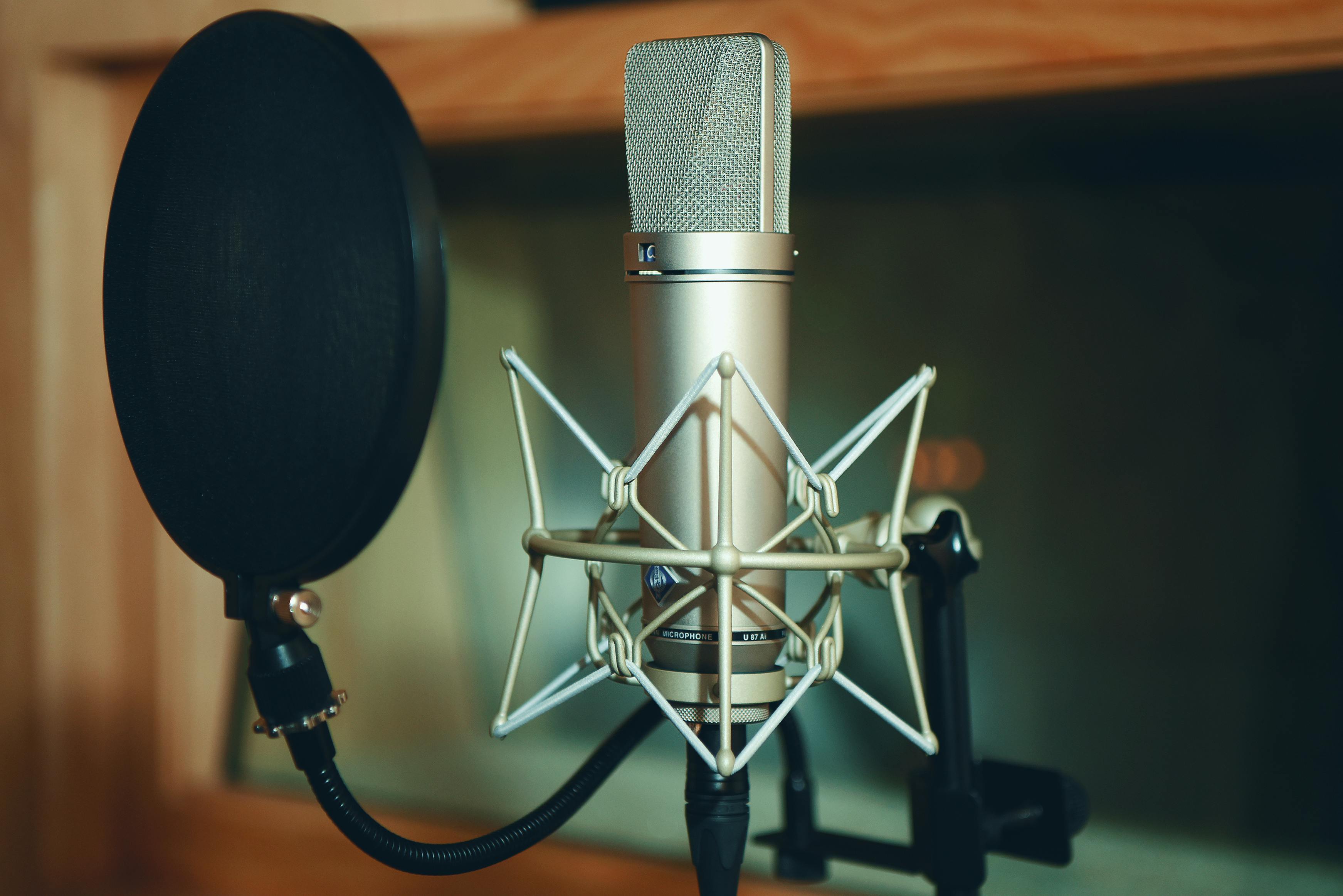 Microphone and studio environment